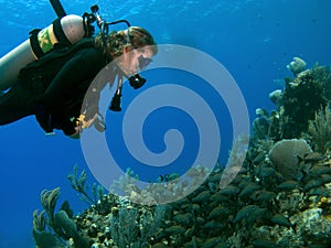 Woman Scuba Diver looking at A School of Fish