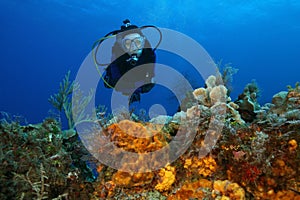 Woman Scuba Diving Over a Coral Reef