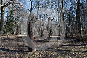 Woman sculpture carved from tree in the sunny forest