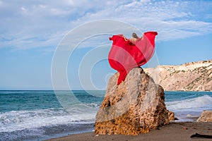 woman sea red dress. Woman with long hair on a sunny seashore in a red flowing dress, back view, silk fabric waving in
