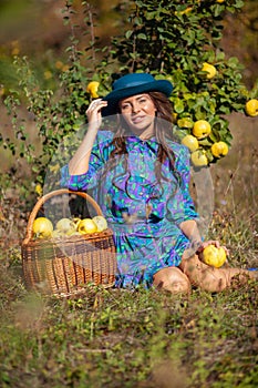 Woman seating in orchard with full basket colecting fruits at plantation of quinces