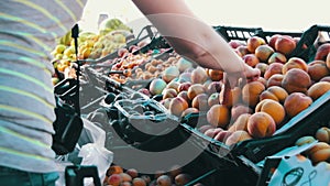 Woman Selecting Fruit on Showcase At Street Market