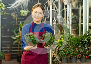 Woman seller holding wintergreen in flower shop
