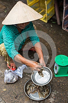 A woman selling fish at market in Hoi An, Vietnam