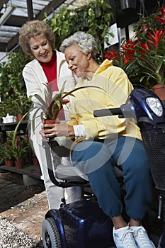 Woman Selling Plant To Disabled Woman At Botanical Garden photo