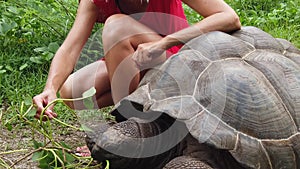 Woman Seychelles Turtle