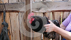 Woman shakes her - trying to show stabilization, unstabilized chicken