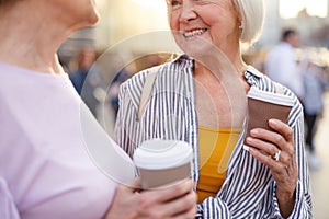 Woman sharing her impressions about shopping with a friend