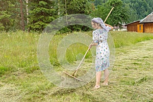 A woman in a shawl turns hay with a wooden rake. Haymaking season