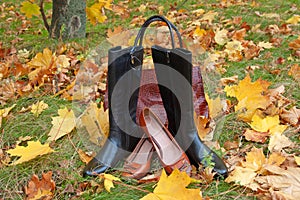 Woman shoes and boots lay on lawn with falling yellow autumn leaves, autumn shoes sale concept, top view