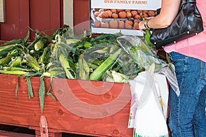 Woman Shopping for Ears of Corn