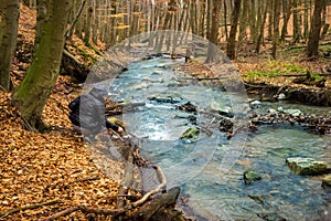 Woman on Shore