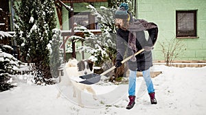 woman with shovel cleaning snow., white dog playing. Winter shoveling. Removing snow after blizzard