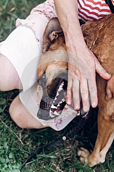 Woman showing dog`s teeth, dog opening his mouth to show teeth,