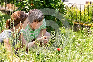 Woman is showing an mental disabled woman a flower