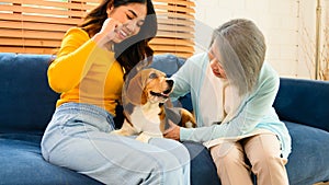 A woman is shown in a friendly interaction with her dog, a playful beagle