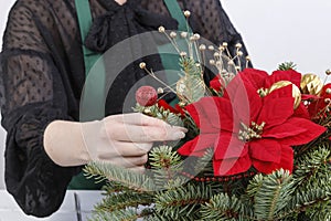 Woman shows how to make Christmas decoration with the poinsettia flower