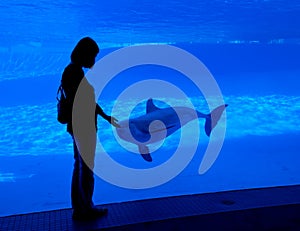 Woman silhouette at aquarium