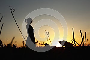 woman silhouette and grass and trees at sunset sky in summer meadow, peaceful relaxing moment