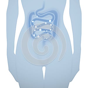 Woman silhouette with healthy intestine