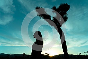 Woman silhouette in Joshua Tree National Park in a summer day with sun backlight. Western still life with amazing cactus