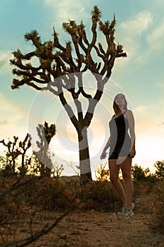 Woman silhouette in Joshua Tree National Park in a summer day with sun backlight. Western still life with amazing cactus