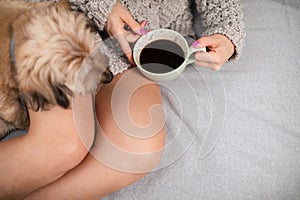 A woman sits on a bed with coffee in hand and a multiracial dog next to her.