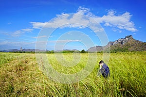 The woman sits holding head with sunflowers field, blue sky, cloud and mountain at Khao Jeen Lae.