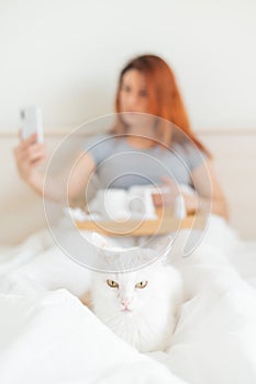 A woman is sitting in bed with a mobile phone in her hands. A white cat lies at the feet of the mistress with a cold. A