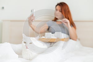 A woman is sitting in bed with a mobile phone in her hands. A white cat lies at the feet of the mistress with a cold