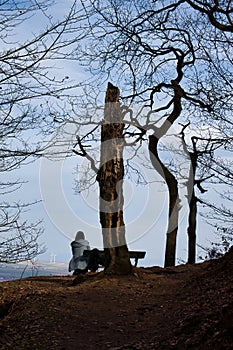 Woman sitting on a bench next to a dead tree on a hill
