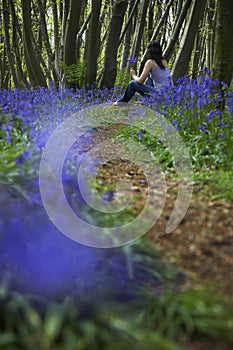 Woman Sitting In Bluebell Woods