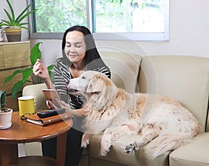 Woman sitting on couch in living room looking at mobile phone  with her golden retriever dog