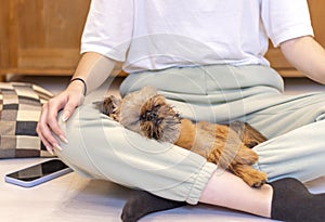 A woman is sitting cross-legged on a wooden floor at home. Her red dog sleeps on her lap