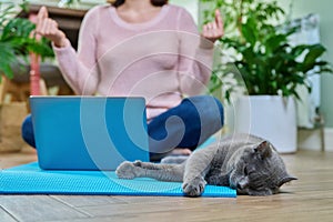 Woman sitting at home on yoga mat in lotus position with laptop and cat