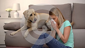 Woman sitting near labrador dog sneezing in tissue, fur allergy, antihistamine