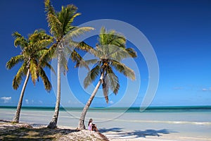 Woman sitting by the palm trees on the coast of Ouvea lagoon on Ouvea Island, Loyalty Islands, New Caledonia