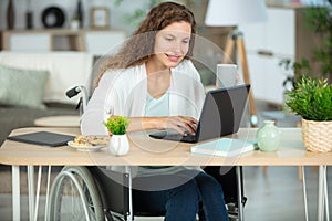 woman sitting in wheelchair working in modern office