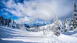 Woman skier enjoying the scenery and snow covered trees in the high alpine ski area at Sun Peaks