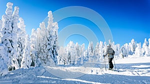 Woman skier enjoying the winter landscape of snow and ice covered trees