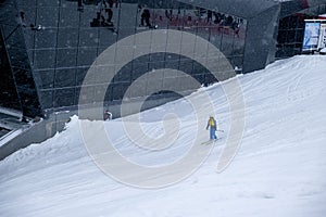 Žena lyžař na vrcholu hory chopok