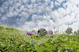 Woman lying on lawn watching sky