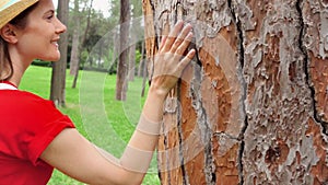 Woman sliding hand along old tree in slow motion. Female hand touching crust surface of tree trunk