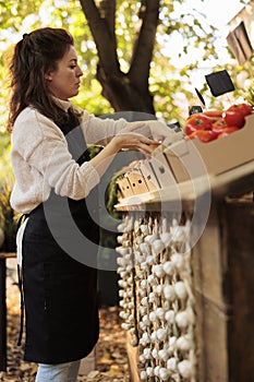 Woman small business owner with black apron arranging pumpkins and veggies