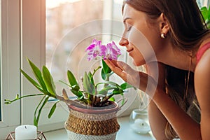 Woman smelling dendrobium orchid on window sill. Housewife taking care of home plants and flowers