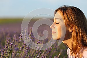 Woman smelling flowers in a lavender field at sunset