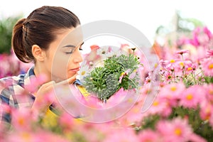 Woman smells the daisies in flowers garden