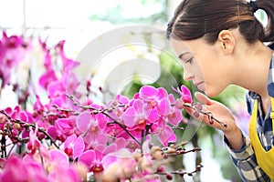 Woman smells the flowers in the garden, fragrance of orchids