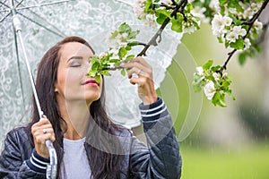 Woman smells tree flowers on during a spring rainy day in the nature, holding an umbrella