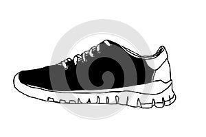 Woman sneaker on white background.